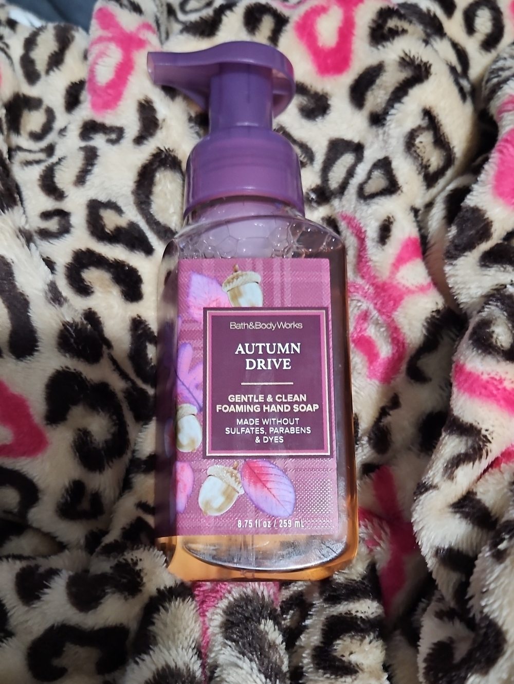 Bath & Body Works Autumn Drive Hand Soap